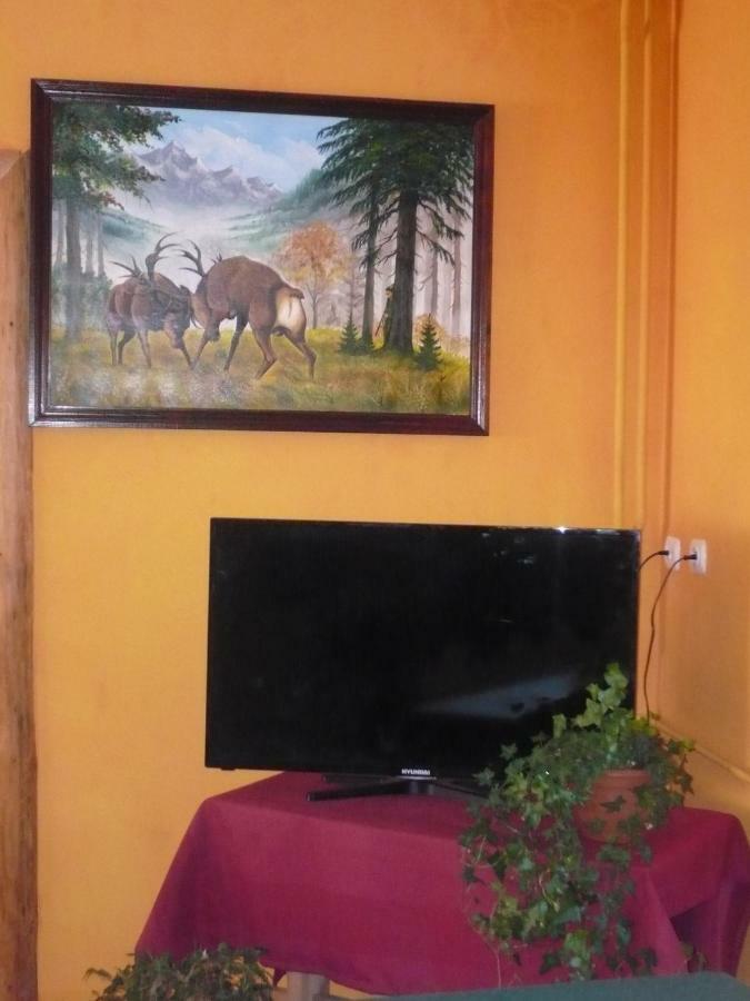 Pokoje Goscinne W Gorach Kościelisko Exterior foto